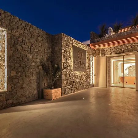 Hotell Omnia Mykonos Boutique & Ornos (Mykonos)