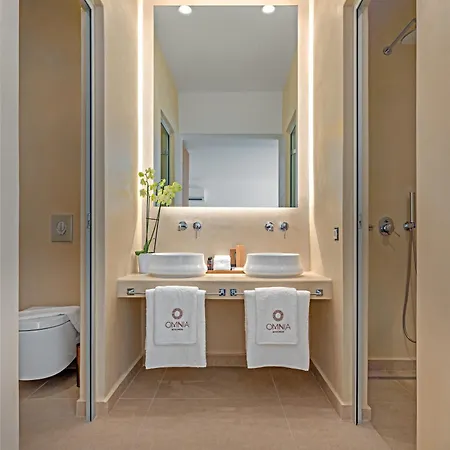 Hotel Omnia Mykonos Boutique & Ornos (Mykonos)