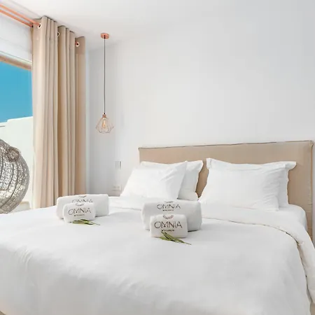 Hotel Omnia Mykonos Boutique & Ornos (Mykonos)
