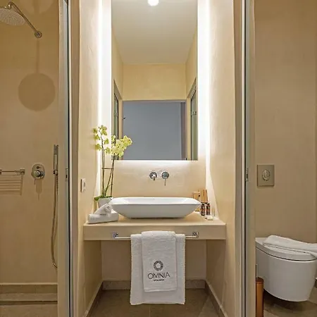 Omnia Mykonos Boutique & Ornos (Mykonos)