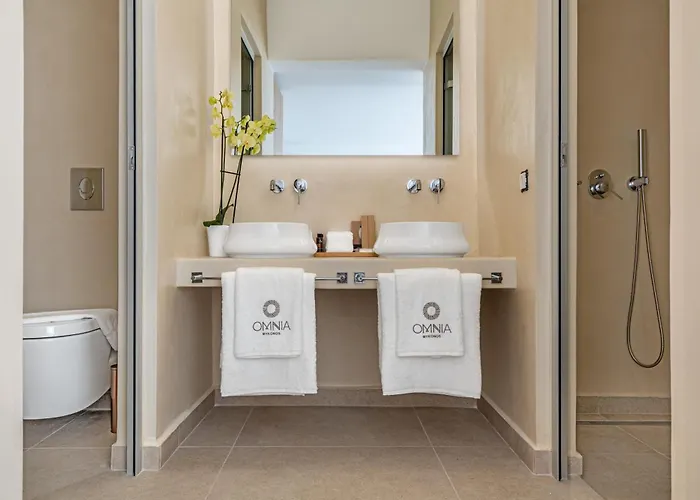 Omnia Mykonos Boutique & Hotel 4*
