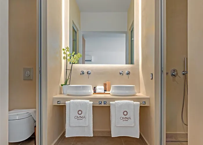 Hotel Omnia Mykonos Boutique & Ornos (Mykonos)